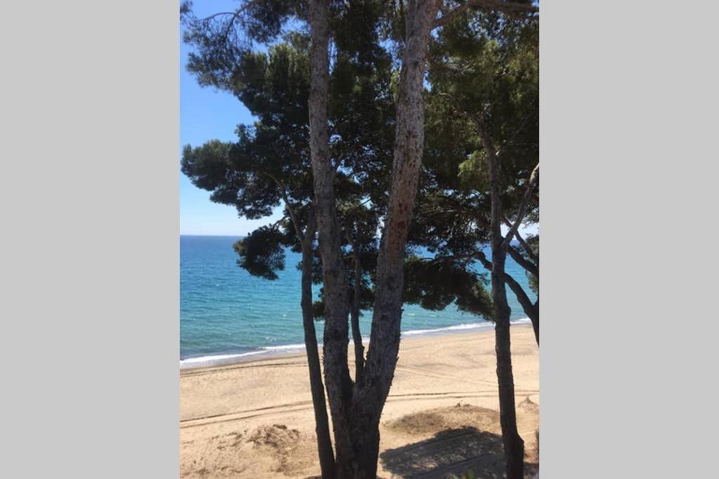 Bel Appartement Face A La Mer Miami Platja  Exterior foto